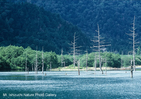 kamikochi (04)_1